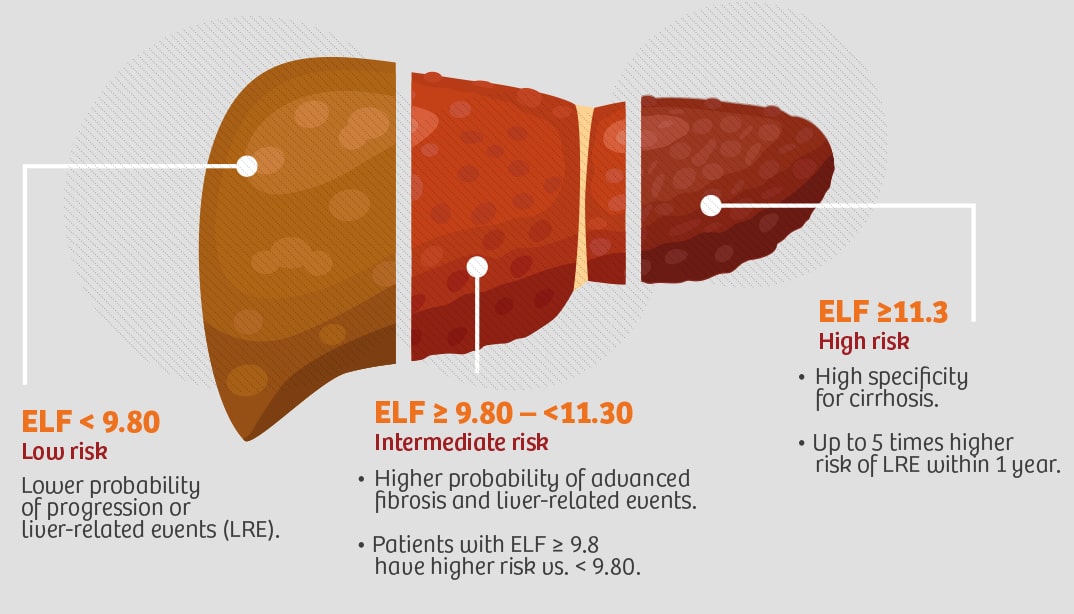 ELF™ • Prognostic Use