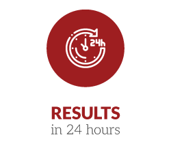 RESULTS IN 24 HOURS